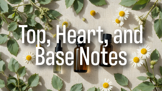 What Are Top, Heart, and Base Notes in Perfumes and Why Do They Matter?