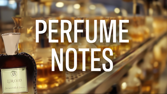 Perfume Notes Explained: A Complete Guide